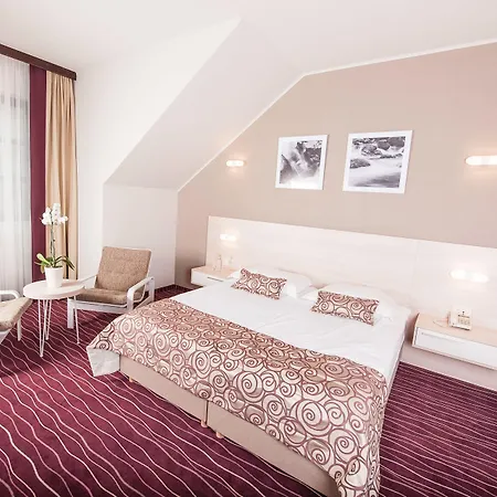Zagreb - Health & Beauty Hotel Rogaška Slatina