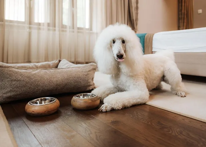 Zagreb - Health & Beauty מלון רוגאסקה סלאטינה